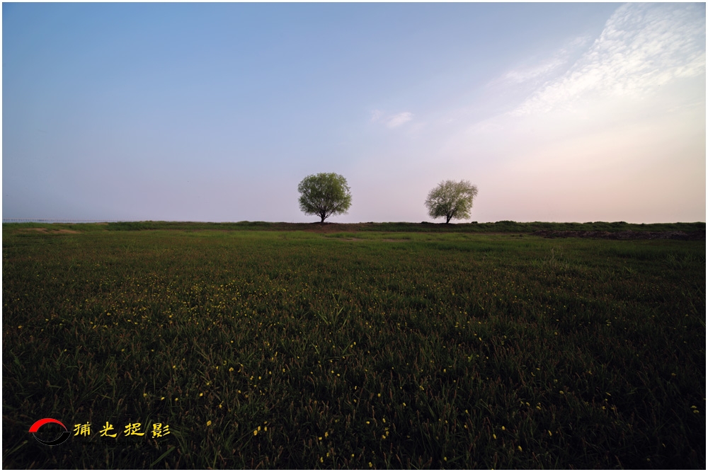 137-��б��ĺɫ���Ҵ�3��-ղʥΰ .jpg