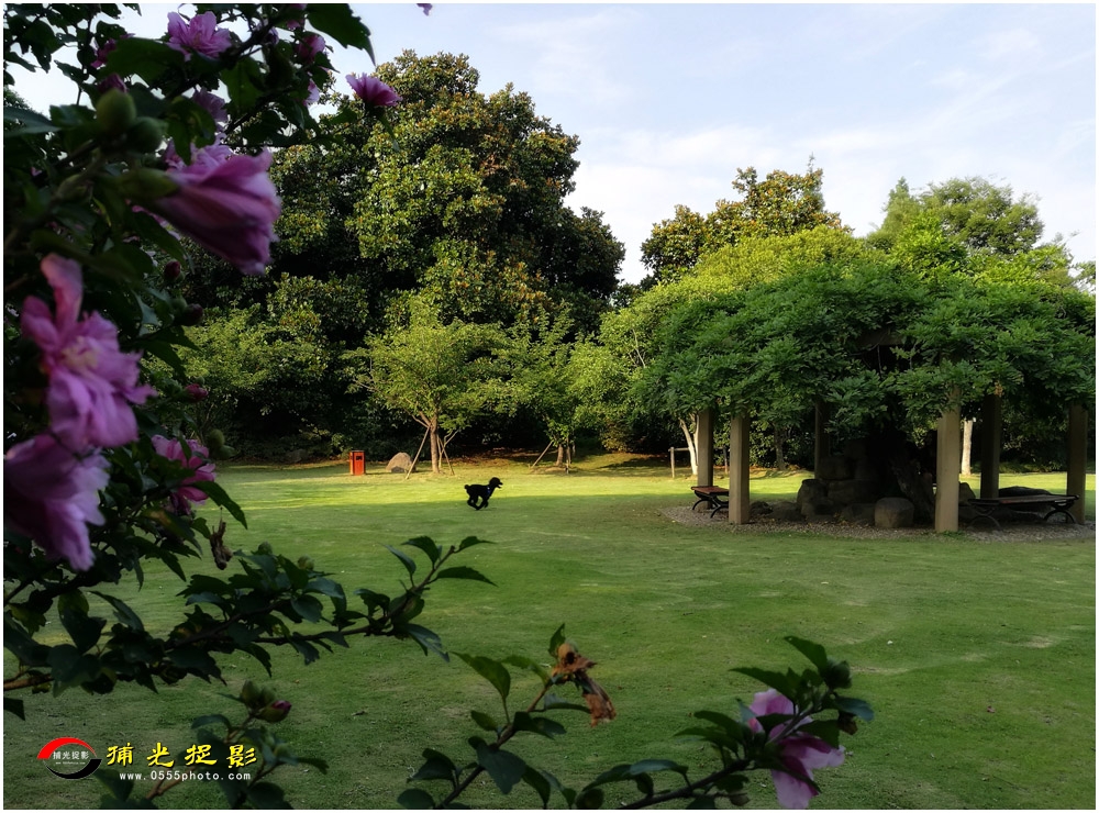 ���������  ����ƽ.jpg