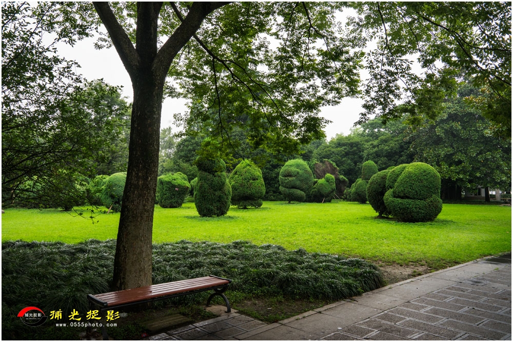 ����  ����ƽ.jpg