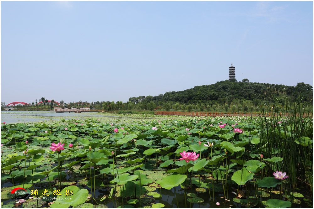 10.���ƿ��� ����.JPG