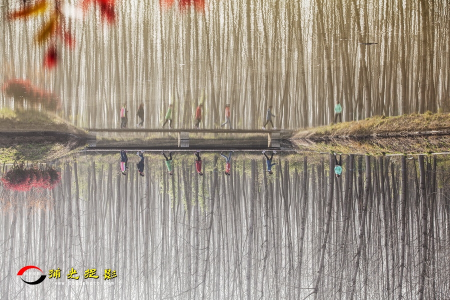 ��ɫ �߱�.jpg