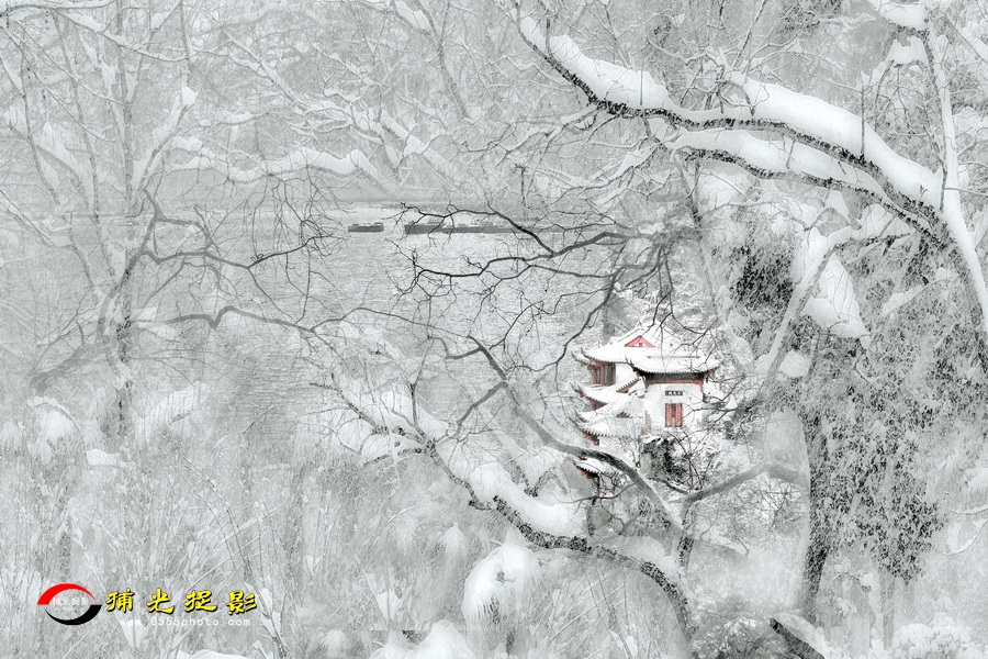 ���ϲ�ʯ�� ÷��.jpg