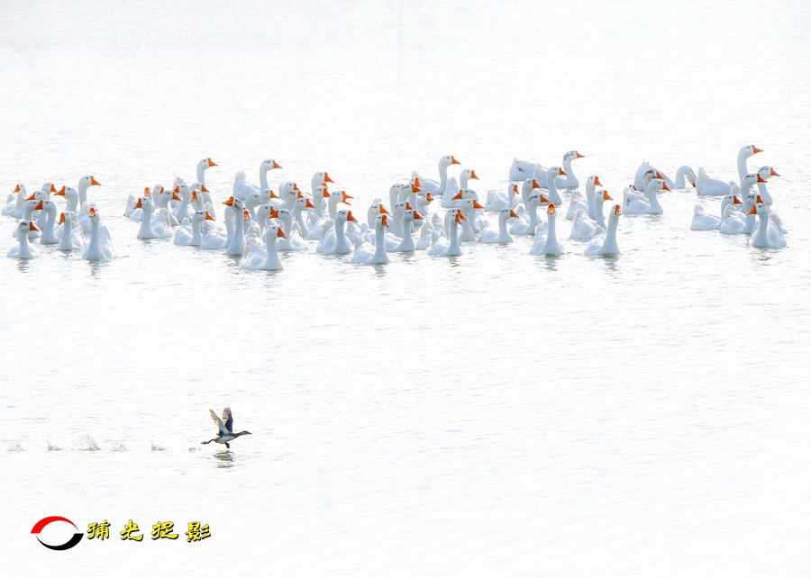 ���� ����Ȫ.jpg