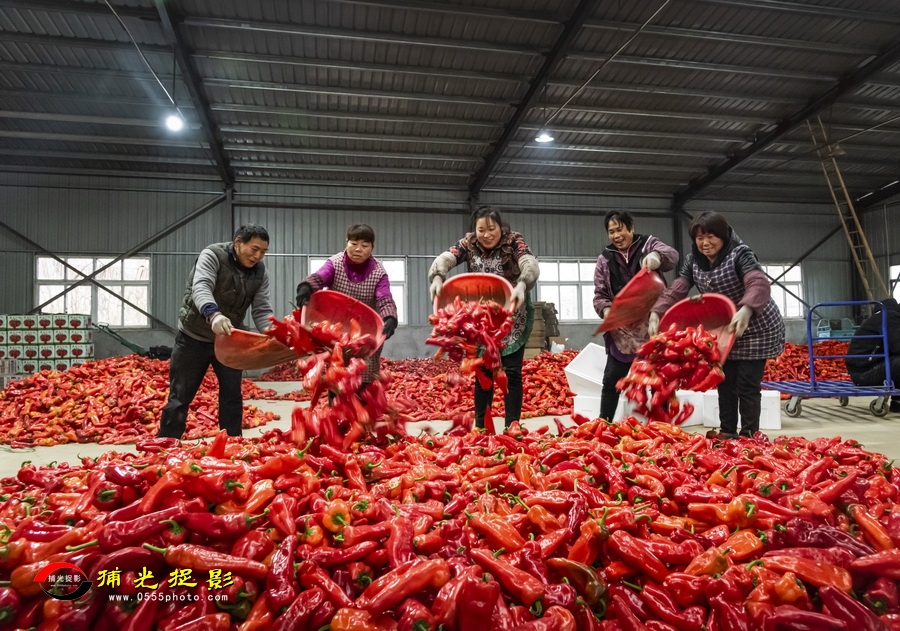 ���յ�ϲ�� ������.jpg