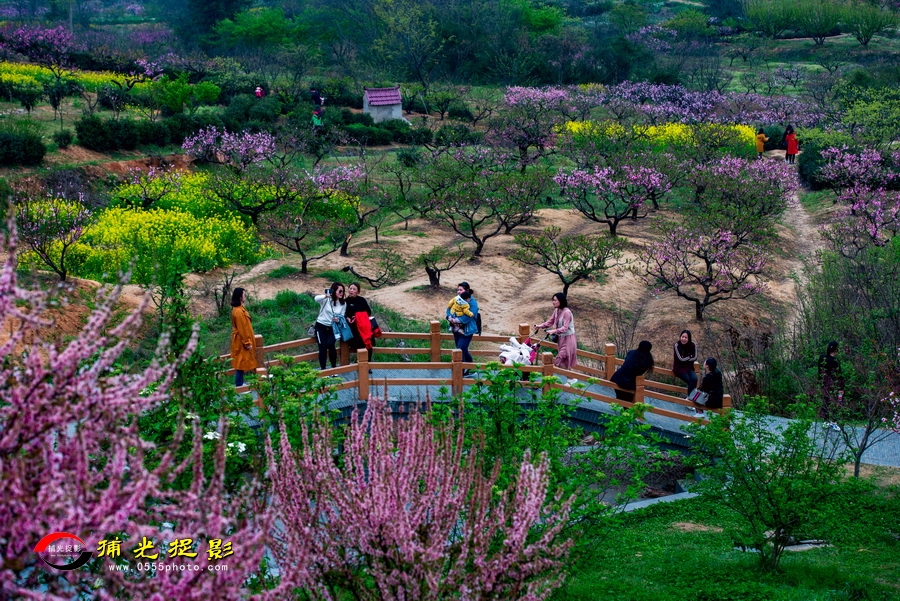 �������������� ղ��ƽ.jpg