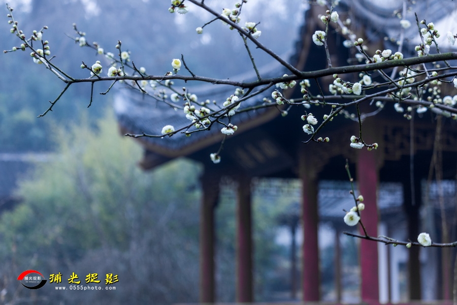 ÷��ӳͤ ղ����.jpg