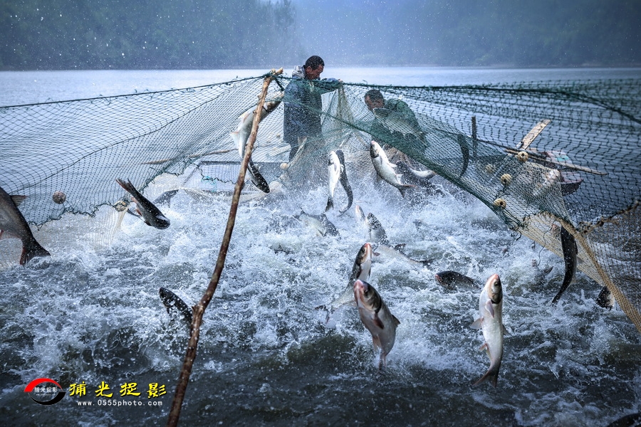 һ������ ��־��.jpg