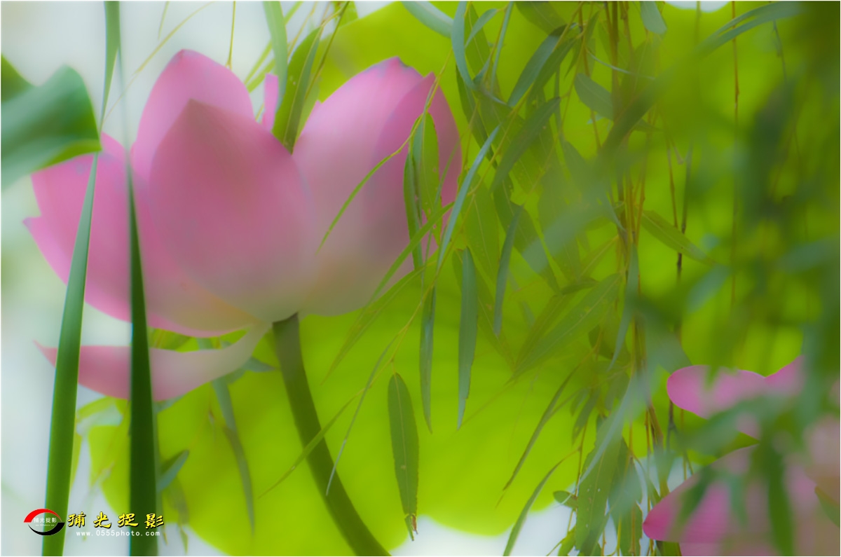 �����ʡ� ���Ȫ.jpg