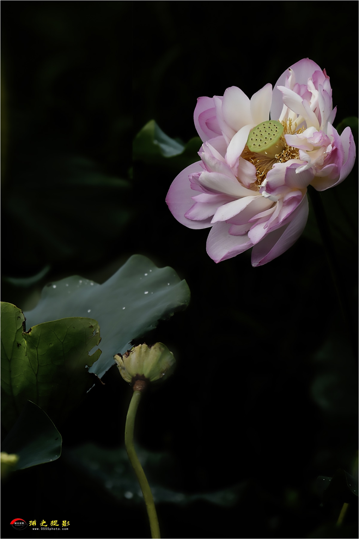 �����ϡ� ��ά��.jpg