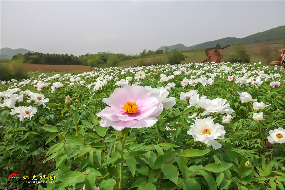 ��ĵ��ʢ���� ½����.jpg