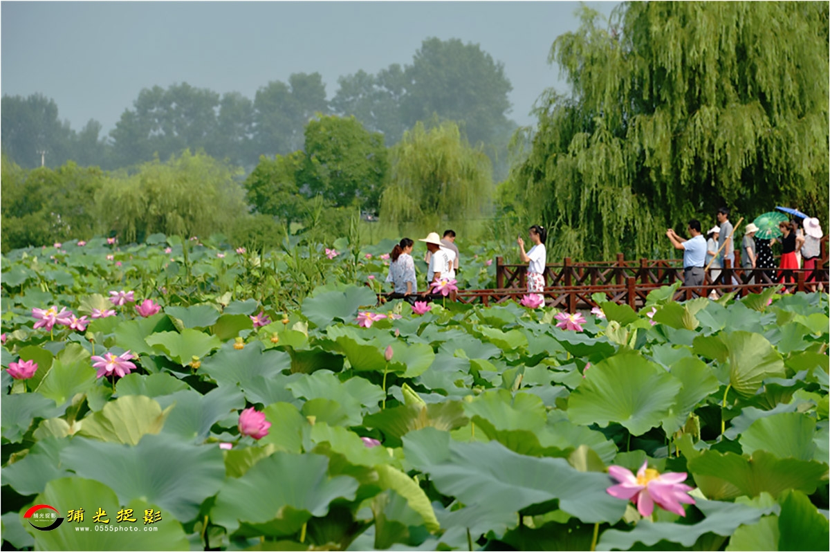 ��۴���̲   ¬������.jpg