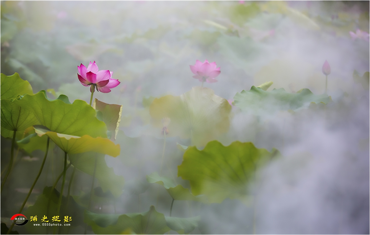 ���κɡ� ������.jpg