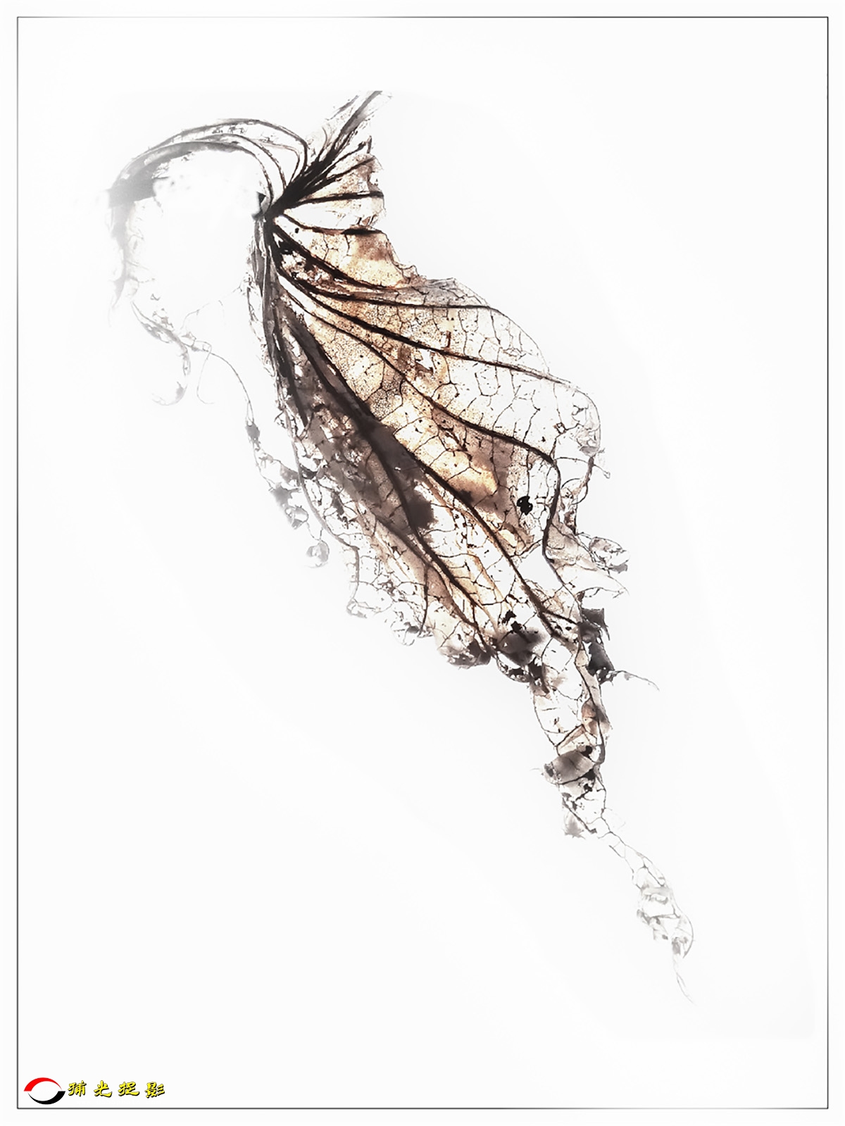 �ɻ�     ��Ƽ  ��.jpg