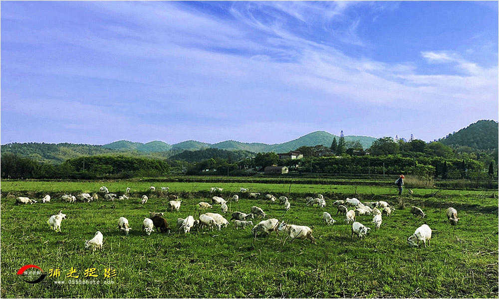 36-����3 ����������.jpg