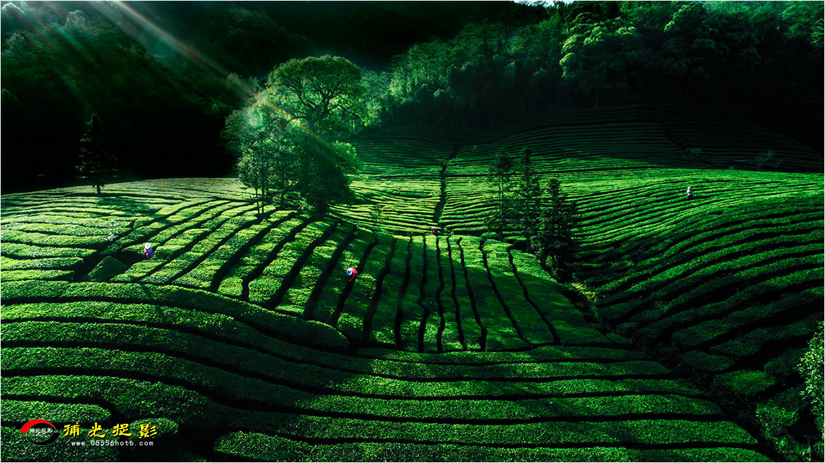 cz004  ��̬��԰-��Ƽ�.jpg