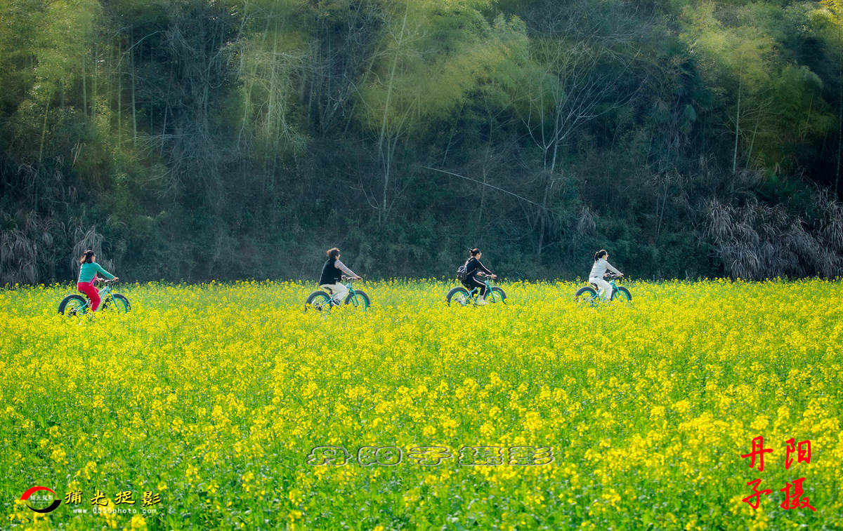 901A02180 ����_����.jpg