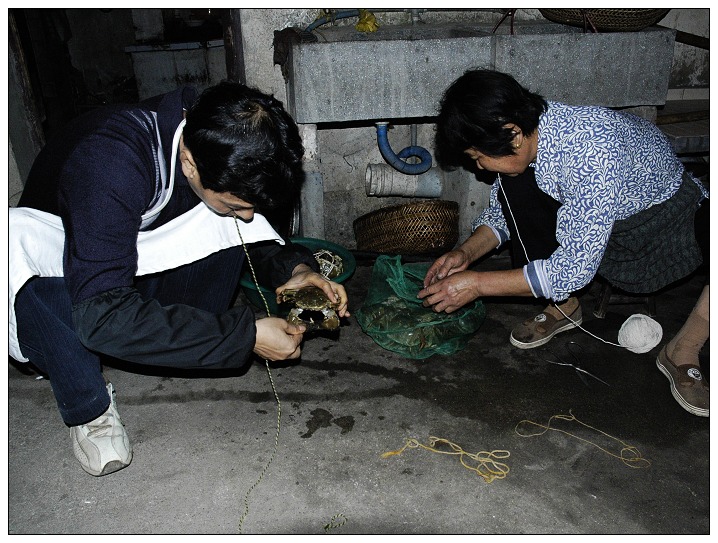 [ԭ��]ʯ�ʺ����ߴ�FBȫ��¼