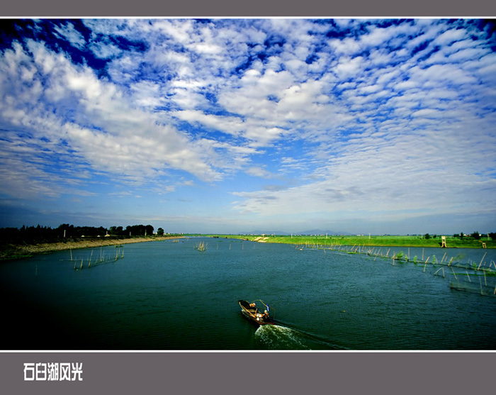 [ԭ��]ʯ�ʺ����㻨������������ϲ�б����о�����