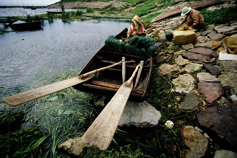 [ԭ��]ʯ�ʺ����㻨������������ϲ�б����о�����