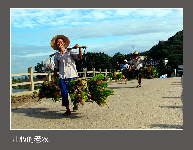 [ԭ��]ʯ�ʺ����㻨������������ϲ�б����о�����