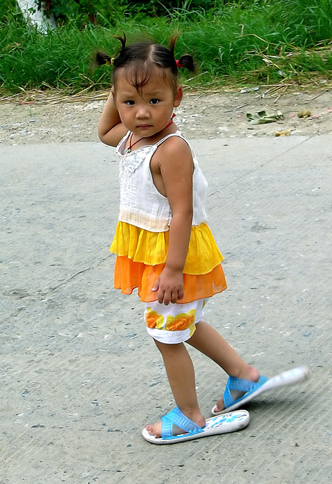 [ԭ��]ʯ�ʺ����㻨������������ϲ�б����о�����