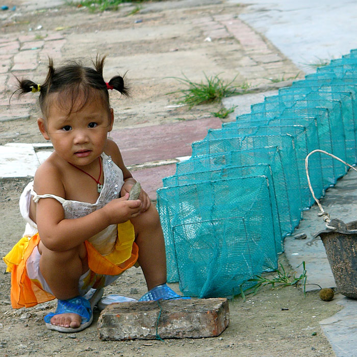 [ԭ��]ʯ�ʺ����㻨������������ϲ�б����о�����