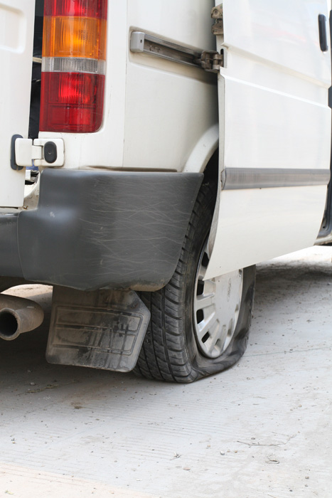 [ԭ��]ʯ�ʺ����㻨������������ϲ�б����о�����