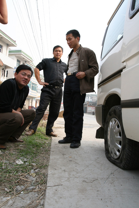 [ԭ��]ʯ�ʺ����㻨������������ϲ�б����о�����