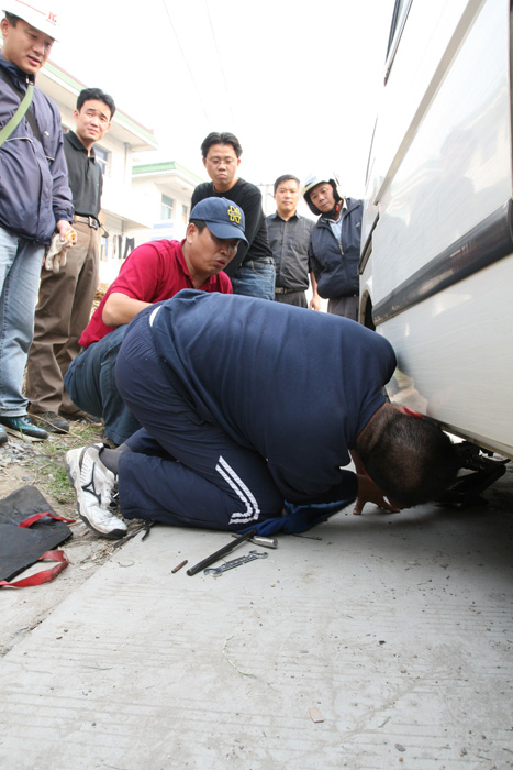 [ԭ��]ʯ�ʺ����㻨������������ϲ�б����о�����