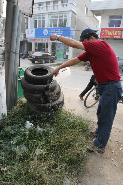 [ԭ��]ʯ�ʺ����㻨������������ϲ�б����о�����