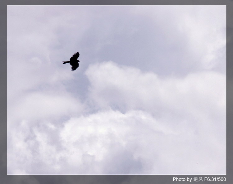 �������  ����������ּ� ����......