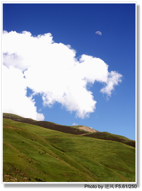 �������  ����������ּ� ����......