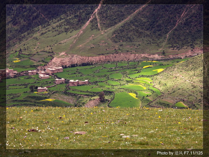 �������  ����������ּ� ����......