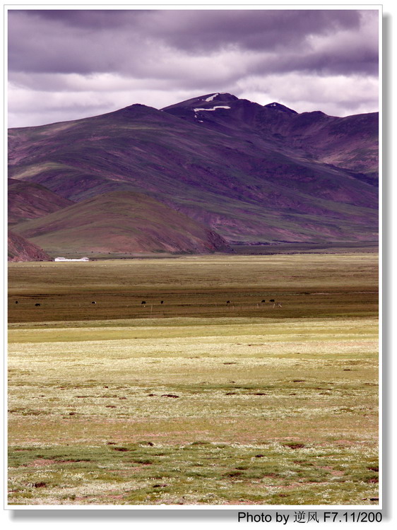 �������  ����������ּ� ����......