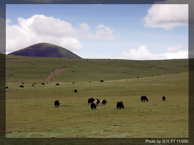 �������  ����������ּ� ����......