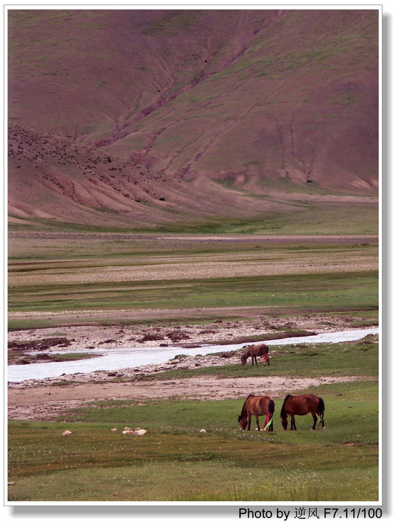 �������  ����������ּ� ����......