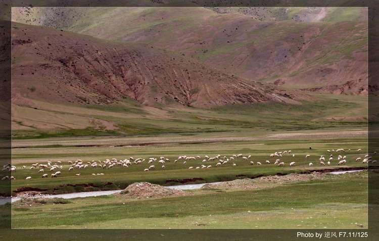 �������  ����������ּ� ����......