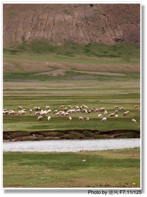 �������  ����������ּ� ����......