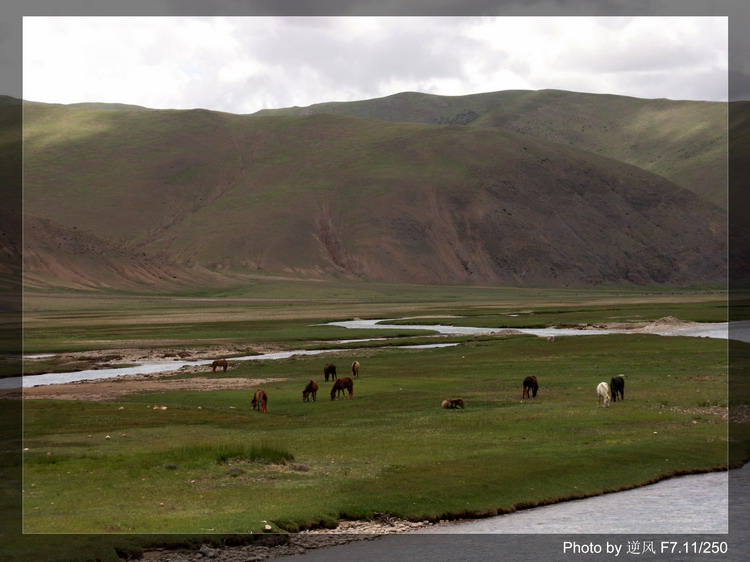 �������  ����������ּ� ����......