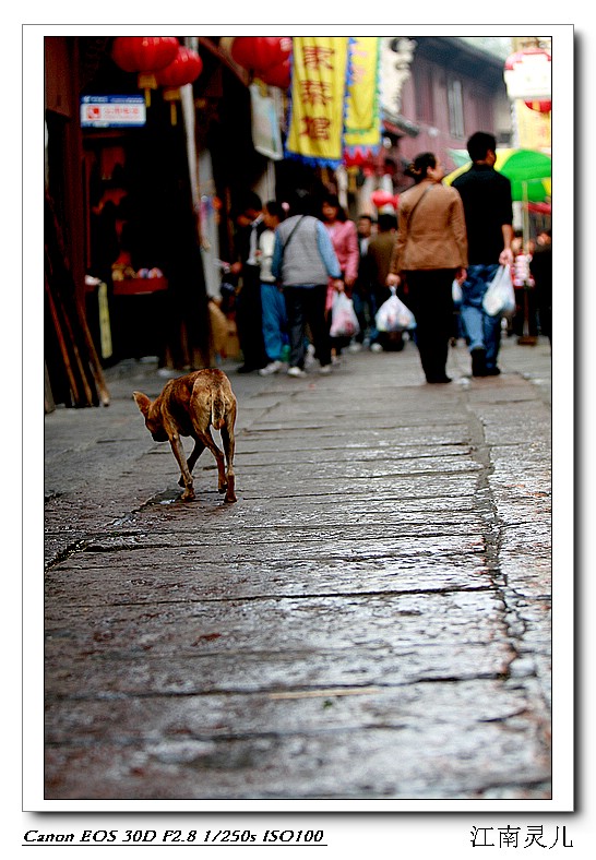 [ԭ��]һ�����˿���ǣ����˼������Ƭ