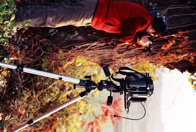 [ԭ��]������׽Ӱ������֮��ɷ绨��