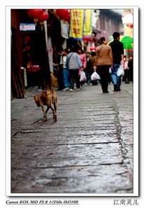 д���������������