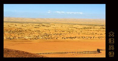 д���������������