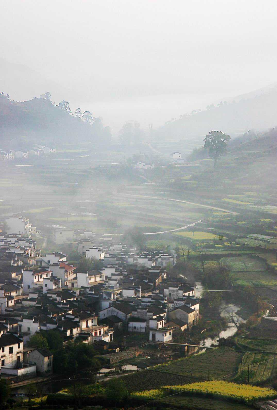 [����]������׽Ӱ��4��������Ʒ