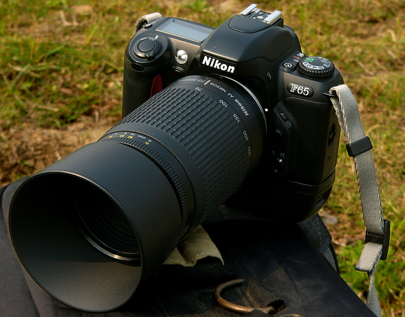 [�Ƽ�]����--�῵F65���������֣���