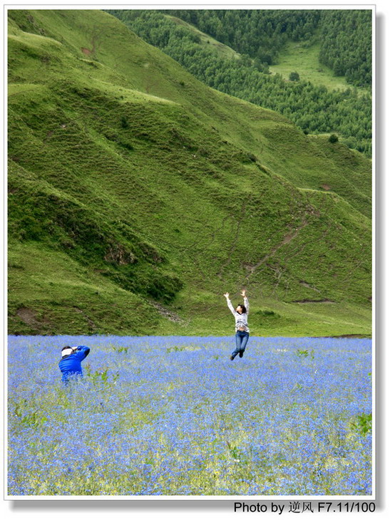 �������  ����������ּ� ����......