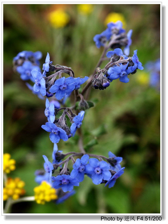 �������  ����������ּ� ����......