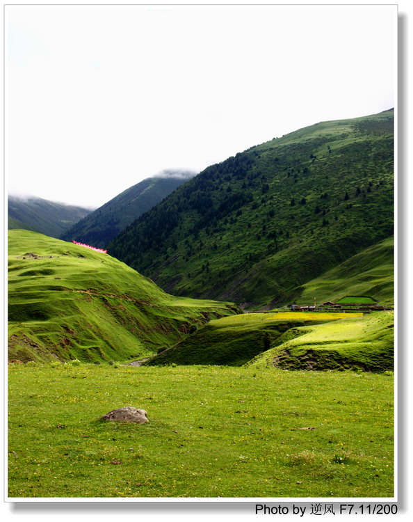 �������  ����������ּ� ����......