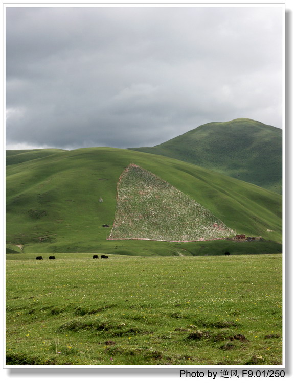 �������  ����������ּ� ����......