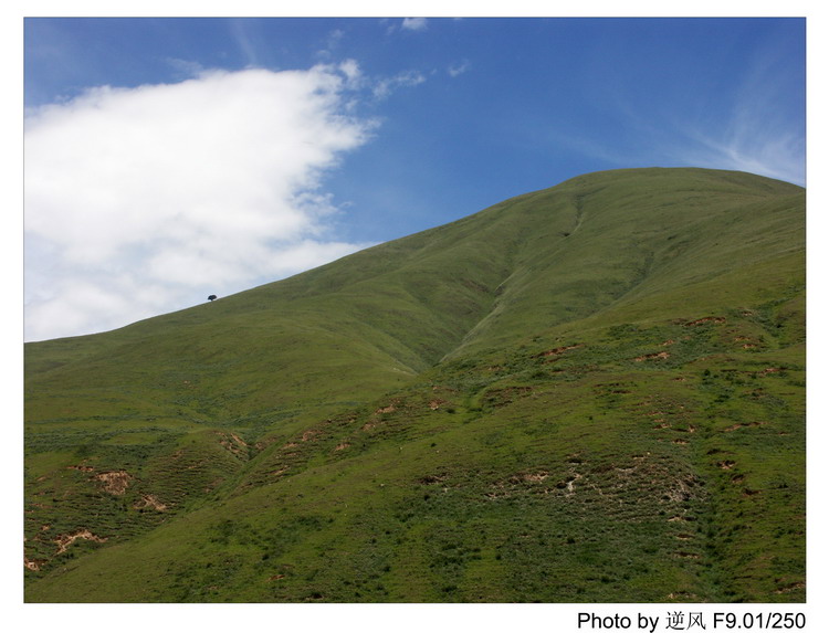 �������  ����������ּ� ����......